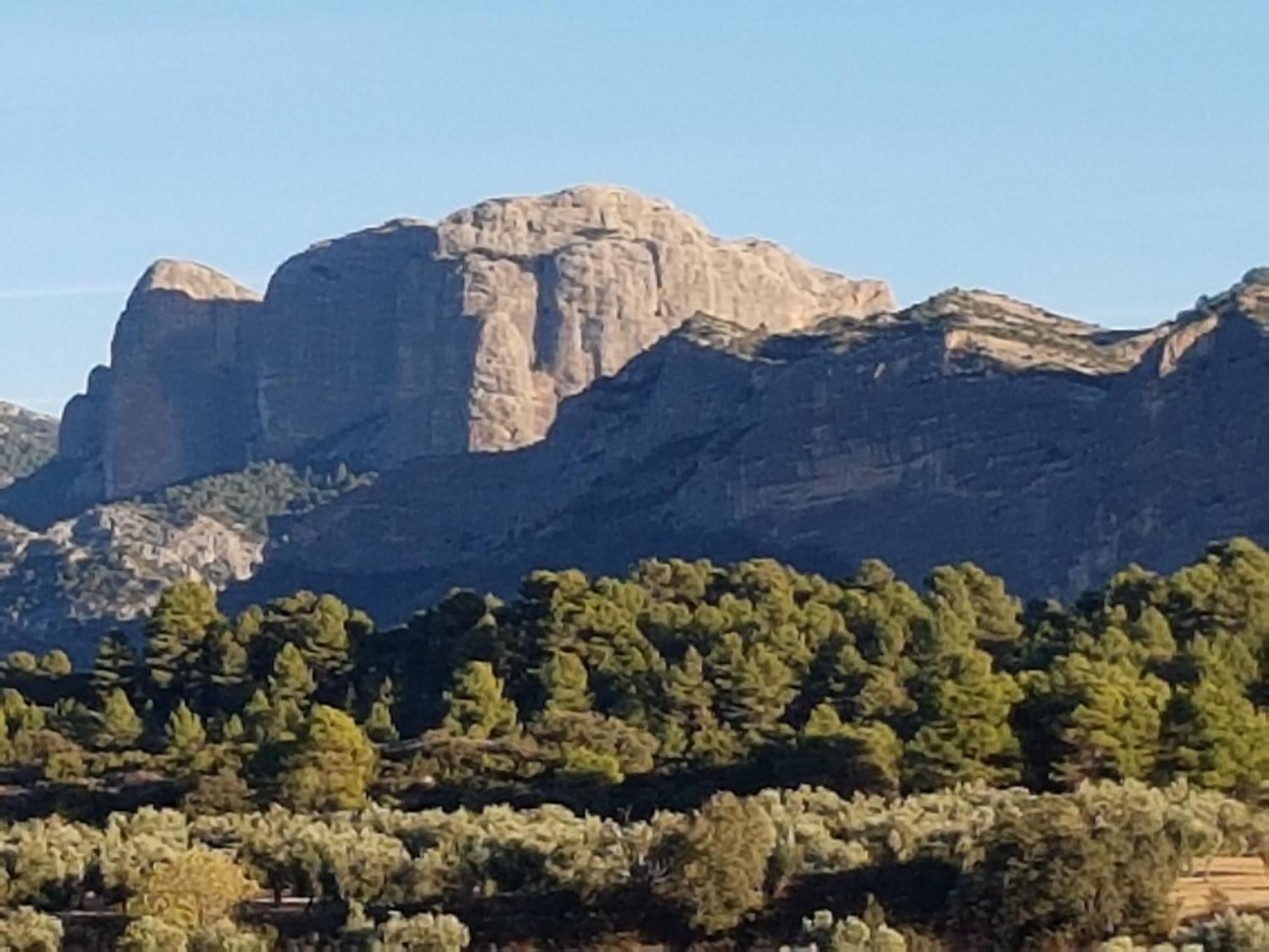 Casa La Tia Διαμέρισμα Arnés Εξωτερικό φωτογραφία