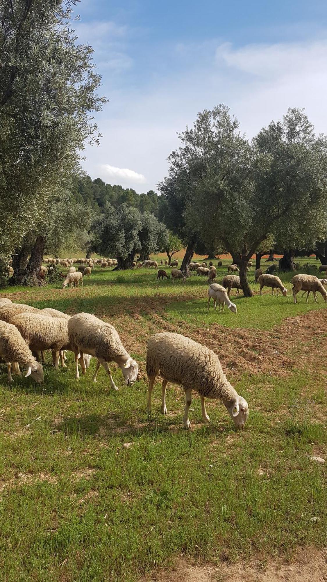 Casa La Tia Διαμέρισμα Arnés Εξωτερικό φωτογραφία