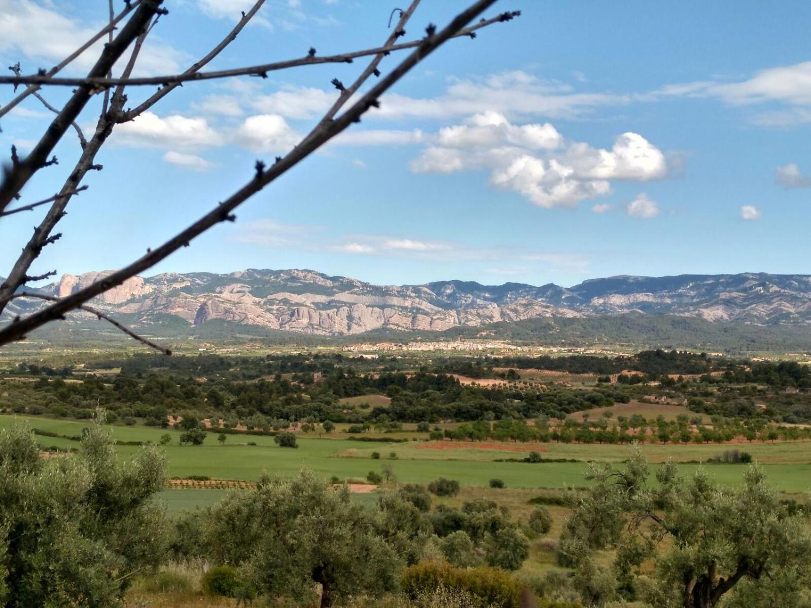 Casa La Tia Διαμέρισμα Arnés Εξωτερικό φωτογραφία